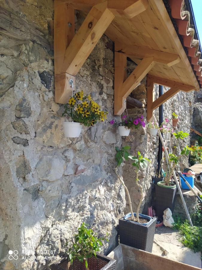 Senterada Massia Gasset Bed & Breakfast エクステリア 写真