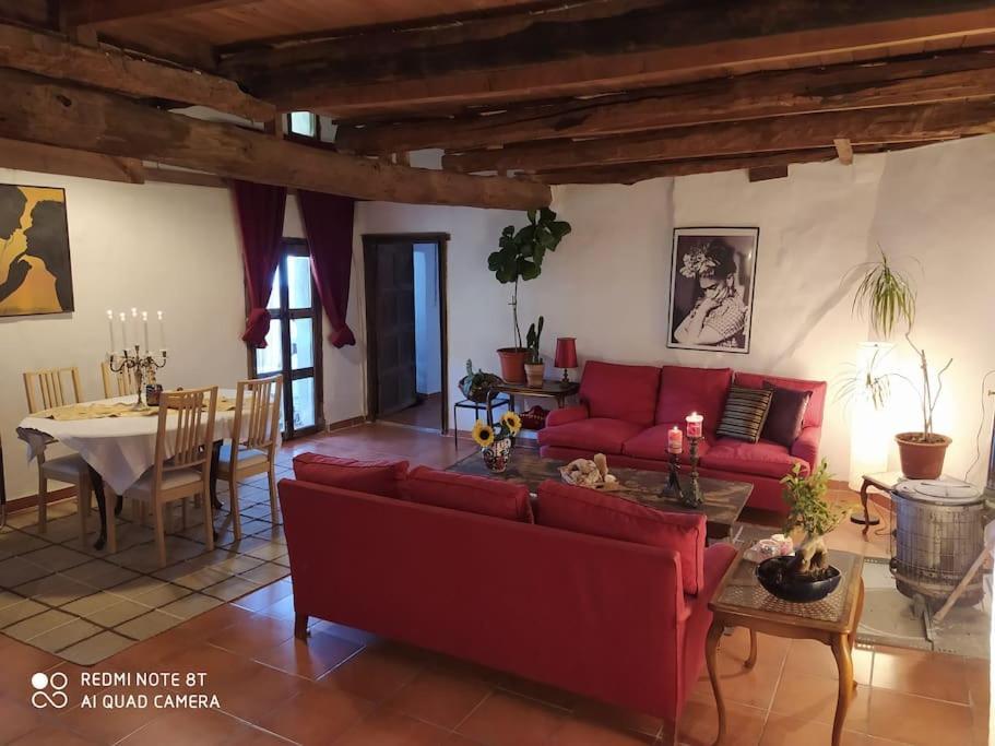 Senterada Massia Gasset Bed & Breakfast エクステリア 写真